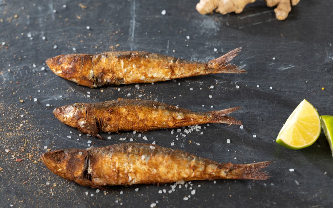 Gegrillte Sardinen